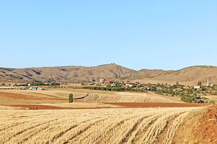 Büyük Polatlı Köyü Arazileri